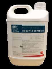 000 mg B6-vitamin 2.000 mg B12-vitamin K-vitamin Kalcium pantothenát Nikotinamid Kolin C-vitamin - Orálisan, vízben feloldva: 0,5-1 Liter / 1000 liter ivóvíz. 15 mg 3.000 mg 10.000 mg 20.000 mg 50.