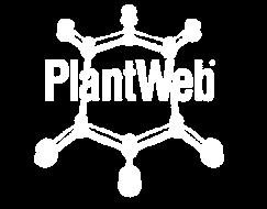 The Plantweb Digital Ecosystem az eredeti Plantweb struktúrát kiterjeszti, lehetővé téve az OT adatok IT szintre kerülését Business Planning and Logistics, ERP