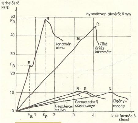 Biofolyásig: σ=e B ε Rocsolásig: E B s = e B B a σ < σ B σ=e R