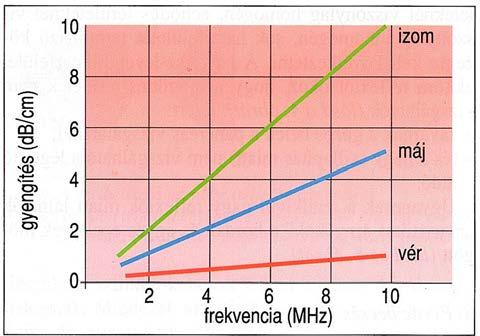 1. Technikai-metodika alapok 1.1. Fizikai-technikai alapok Abszorpciós állandók (db/cm)/mhz víz 0,0022 máj 0,94 zsír 0,63 izom szemlencse vér 0,18 koponyacsont 2 agy 0,85 tüdő 20 vese 1 máj 41 (db/cm)/mhz 1,3-3,3 7.