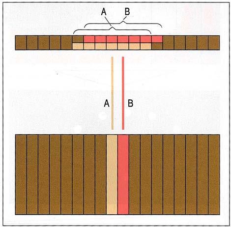 1. Technikai-metodika alapok 1.1. Fizikai-technikai alapok ultrahangnyalábot juttatunk a szövetekbe.