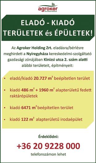 A kiadó előzetes engedélye nélkül a lapban megjelent hirdetéseket felhasználni tilos!