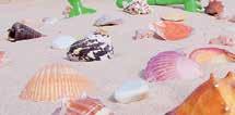 A kagylók a kagylófeldolgozó-ipar melléktermékei és nem tartoznak semmilyen fajtavédelmi egyezmény hatálya alá. Megfelel az EU játékokra vonatkozó irányelvének (CE-jelzéssel ellátva).