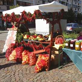 Jász-Nagykun-Szolnok megye II. Közfoglalkoztatási Kiállítás Szolnok, 2016. szeptember 7. A Jász-Nagykun-Szolnok Megyei Kormányhivatal 2016.
