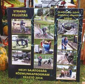 Ŧ Ŧ Bio- és megújulóenergia-felhasználás mintaprogram: a 8 programban a közfoglalkoztatásba bevont létszám: 236 fő. Ŧ Ŧ speciális az ún.