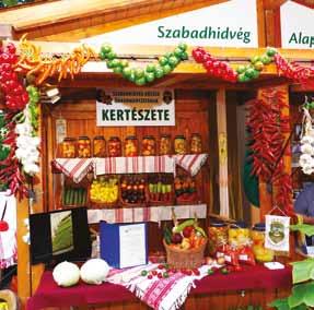 Szabadhidvég Község Önkormányzata az enyingi térség egyik legnagyobb közfoglalkoztatója.