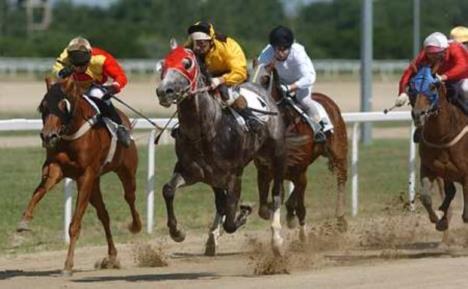 Ló- és lovassport Lósport: - Két ága van, a galopp, és az ügető.