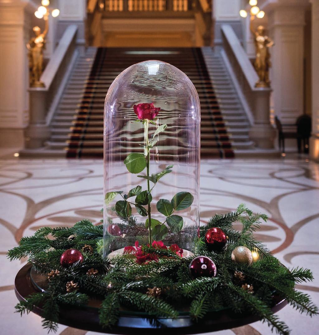ADVENTI BÜFÉEBÉD ELZÁSZI HANGULATBAN December 10. 12:00 16:00 Szalonzene a Csicsó Band előadásában Büféebédünkön a Brasserie & Atrium éttermet elzászi vendéglővé változtatjuk.
