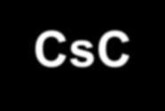 Dr Gergely Sándor CsC, ny.
