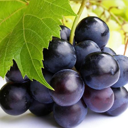 500,- 3.700,- 480,- 3.600,-........... Ft/dl VYLYAN Rosé Cuvée VILLÁNY száraz 2015 Élénk, üde gyümölcsösség jellemzi, illata intenzív, málnára, banánra emlékeztet.