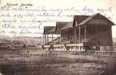 átyás király szobor / mo