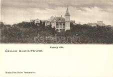 1898 Balatonfüre d, Savanyú