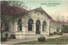 Balatonföldvár, K upavezér