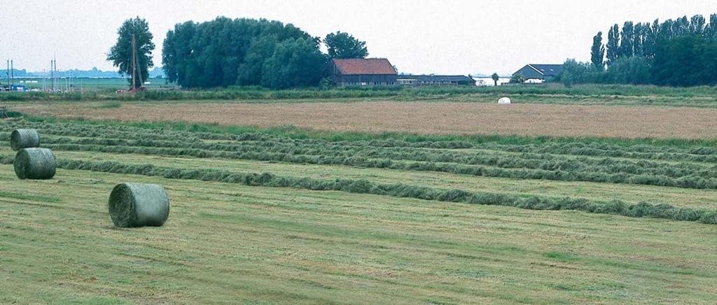 KRONE MultiCut a borotvaéles koncepció Abban az esetben, ha netán tömör bálára van szüksége például jobb terményeloszlásra a MultiCut szecskázó rendszer