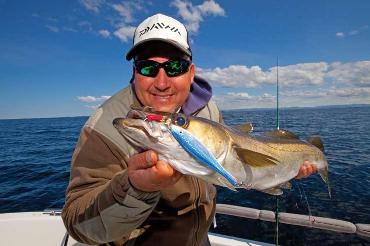 35 60cm 500g Multiplikátor orsók ACCUDEPTH PLUS 47 LCB A legkedvezőbb árú DAIWA zsinórszámlálós/mélységmérős orsó.