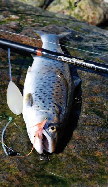 hossz dobósúly szállít. hossz részek súly gyűrűk 11120-210 2.10m 5-30g 111cm 2 140g 8 Eredeti racsnis "Click sound" DAIWA orsótartó hossz dobósúly szállít.