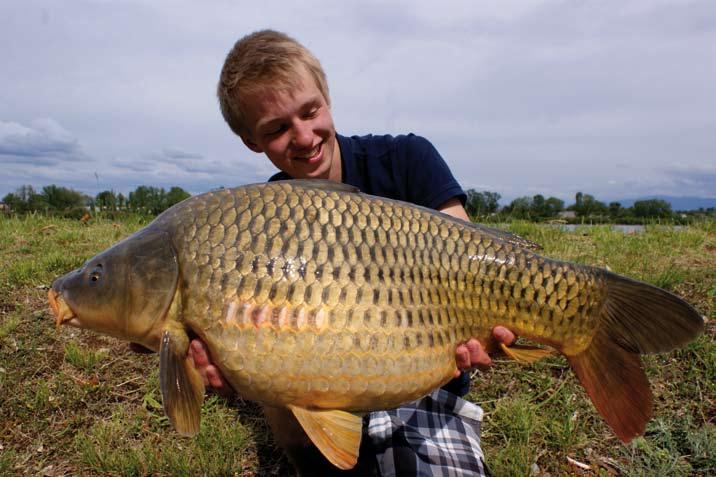 High Modulus karbonszálas blank Extrém karcsú és gyors bottest Eredeti DAIWA V-Joint csapos csatlakozás Eredeti FUJI ALCONITE gyűrűk Exkluzív DAIWA orsótartó Lézer gravírozású logó