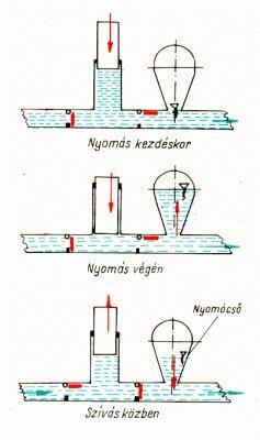 Léüst 7.