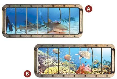 DKOR KÉPK MDNCFALRA ÉS ALJRA DCOR PICTURS FOR POOL WALL AND FLOOR