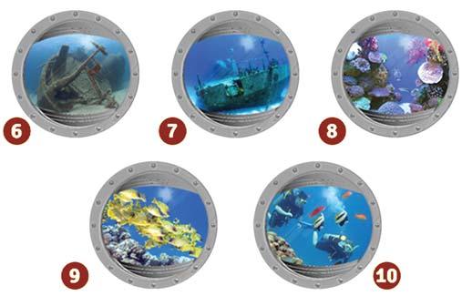 Photorealistic pictures in PVC liner base for decorate the pool walls.