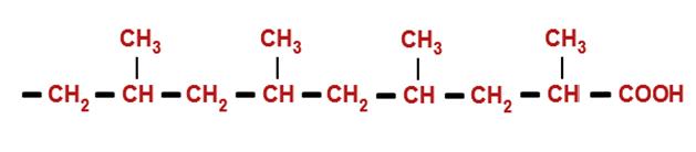POLIKETID BIOSZINTÉZIS = a zsírsavszintézis reakciói: 47 POLIKETID BIOSZINTÉZIS A szekunder metabolizmusnál nem mindig megy végig a redukció, hanem valamelyik lépcsőn megáll (=O, -OH, C=C).