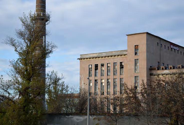 +23,50 FLÜLVILÁGÍTÓ 1 % 1 % 1 % 1 % 1 % 1 % 1 % 1 % +25,69