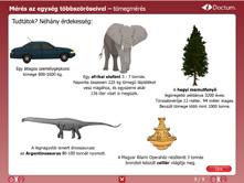 Ebben szórakoztató játékok és gyakorlatok segítik őket, amelyek a gondolkodási készség fejlesztésére