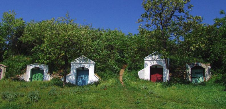 A kizárólag magyarok lakta telepűlést az 1000 pince falujának is nevezik, mivel több a borospince mint a porta a faluban. A legrégebbi pincék 1803-ból származnak.