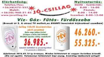 Somodi és Társa Kft.