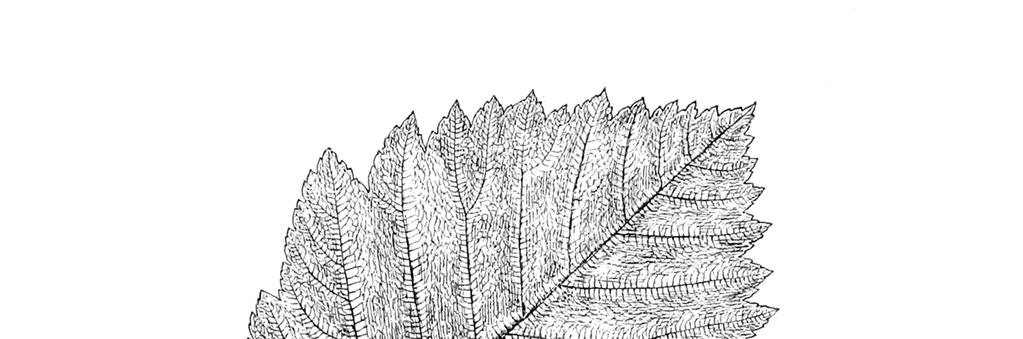 33 1. ábra A