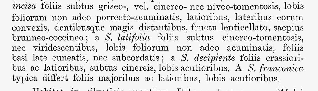 leírása (JÁVORKA, 1926/27) Fig.