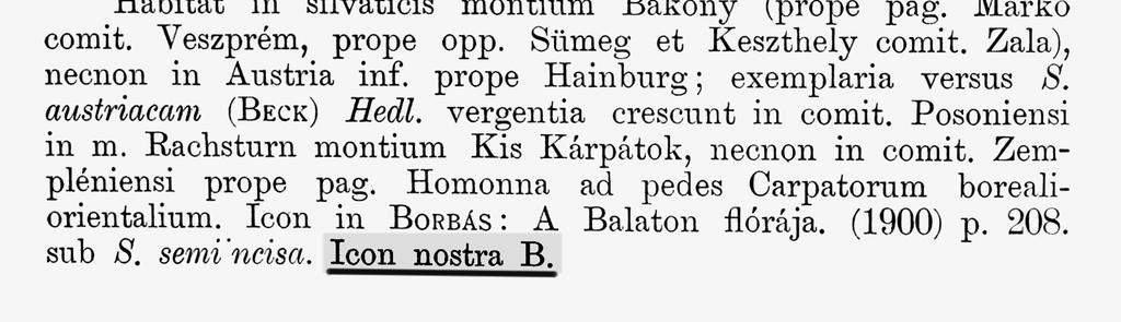 franconica BORNM.