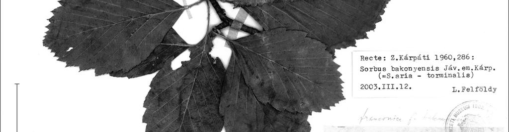 9 Photocopy