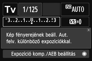 Funkcióismertet A Funkcióismertet az érintett felvételi mód, funkció vagy lehet ség egyszer leírása.