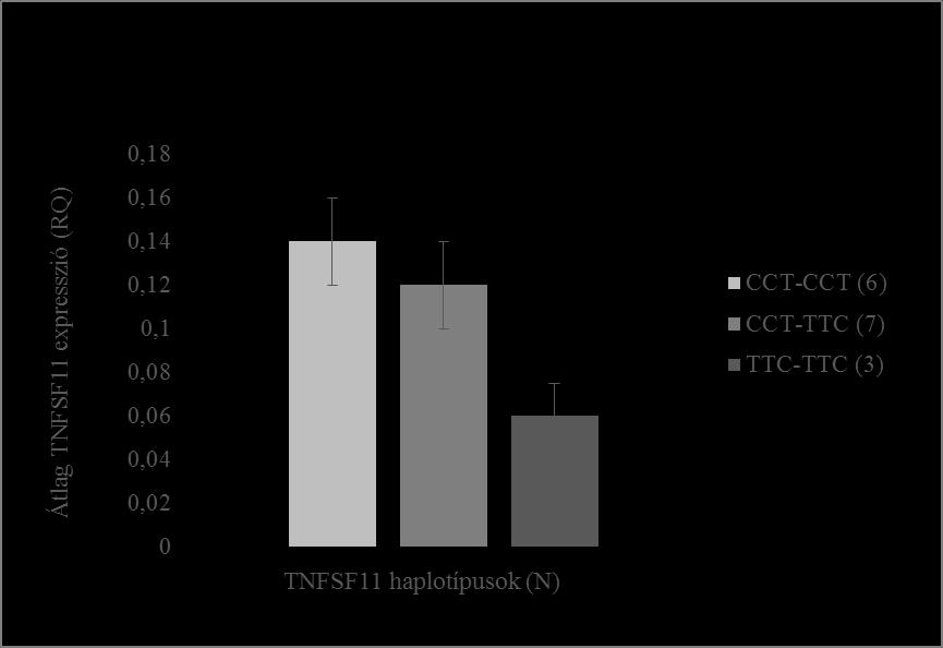 A TNFSF11 gén vizsgált haplotípusai szoros összefüggést mutattak a gerinc BMD-vel (permutált p=0,022). A CCT haplotípus alacsony BMD értékekkel, míg a TTC haplotípus nagyobb gerinc BMDvel társult.