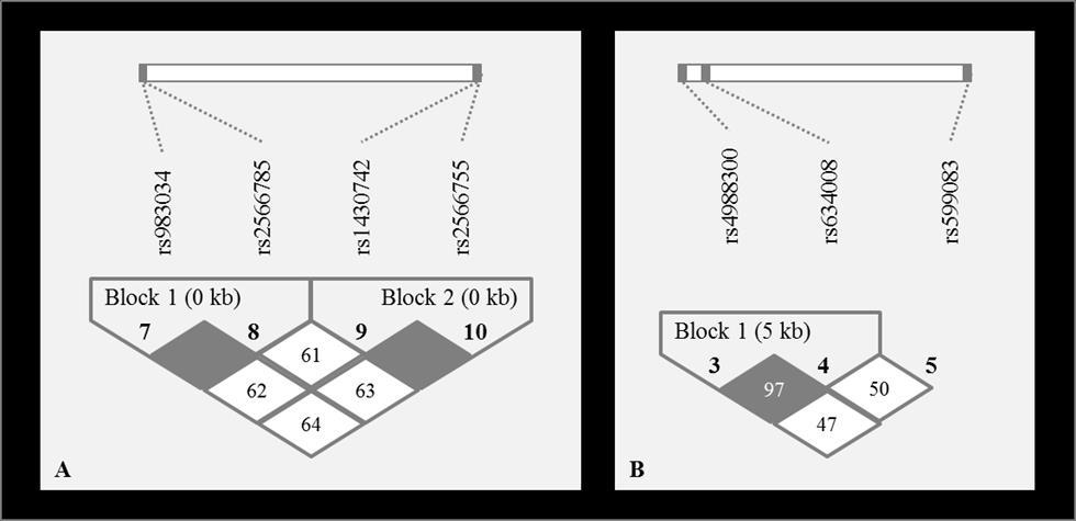 Valmennyi vizsgált SNP Hardy-Weinberg equilibriumban volt. A SNP-k azonosítási pontossága 98,54% volt.