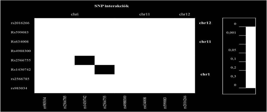 SNP-k között. A haplotípusok és a BMD értékek között sem tudtunk kimutatni összefüggést. (22.