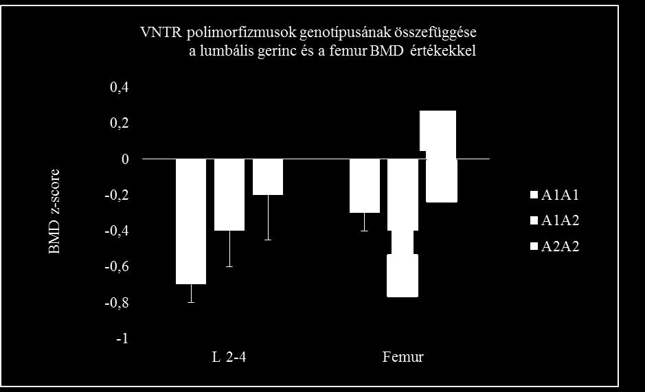 intronjában elhelyezkedő VNTR polimorfizmusának eloszlása Nem találtunk összefüggést a vizsgált személyek e polimorfizmusának genotípusa és a menopauza utáni csontdenzitás