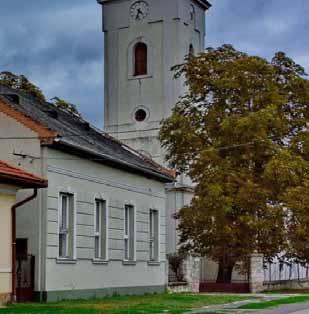 változatos, de ajánlott a fehér, vagy a