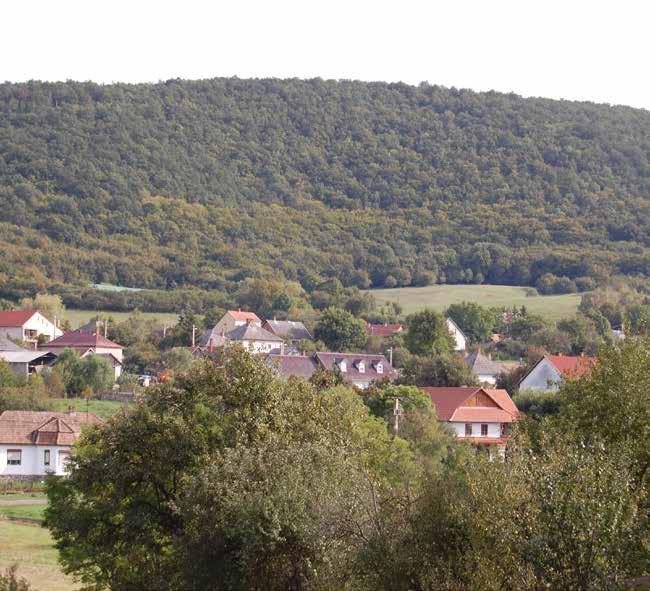 1. BEVEZETÔ Mindennapi életünk döntően épített környezetben zajlik, tehát életünk meghatározó eleme mindaz, amit elődeink, s mi magunk alkottunk. Mi az, amitől hívogató egy település?