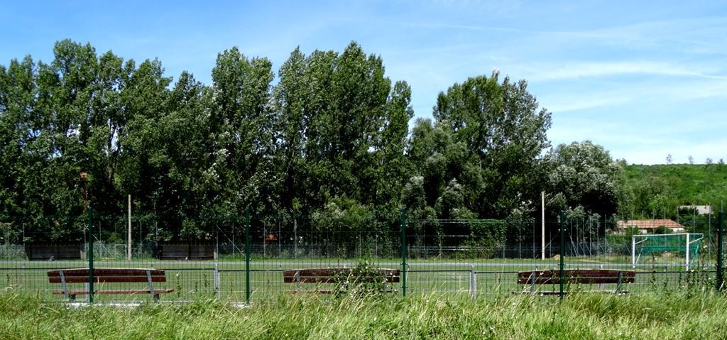 csapattal is büszkélkedhet, a