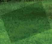 Trimmer for removing tough grass, small bushes & undergrowth Powerful 4.