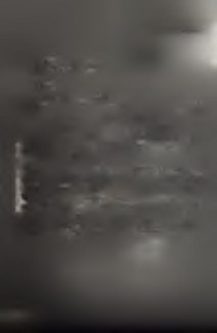 ^ S l c í Z + - * < -+ * ' r» * * x u * ^ f t Z f S u ^ y l j c \ <. m Í > -. >~» "W C /x< 'T / ^ éek.