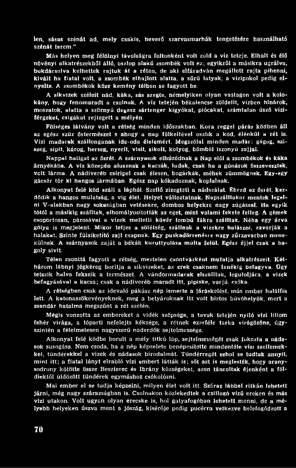 fiatal volt, a zsombék elhajlott alatta, a sűrű latyak, a vízipokol pedig elnyelte. A zsombékok köze kemény télben se fagyott be.