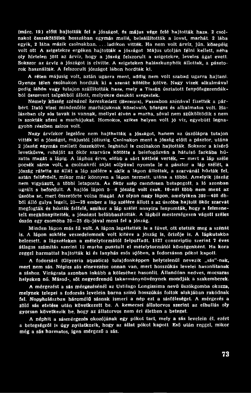 közepéig volt ott A szigetekre ergéken hajtották a jószágot Május utolján félni kellett, néha oly hirtelen jött az árvíz, hogy a jószág felszorult a szigetekre, leveles ágat evett.