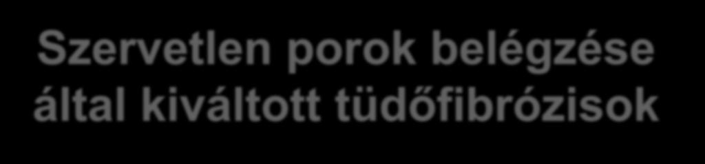 Szervetlen porok belégzése