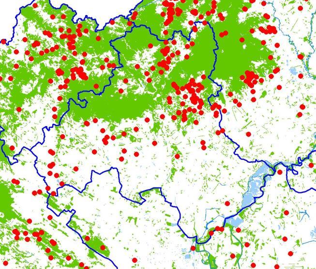 2. A száraz aszályos nyarakon jelentkeznek nagyobb számban idősebb lombos és fenyves állományokban.