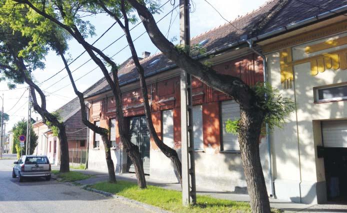 ), valamint a kiemelt helyi jelentőséggel bíró utcák (Kastélypark u., mely a kastélyhoz vezet) szélesek.