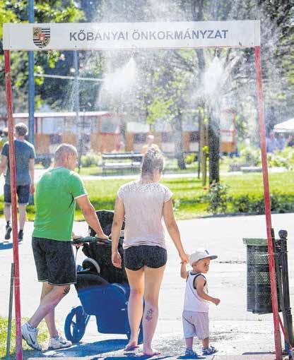 A pincétől a templomtoronyig Bizony, nagyon bánhatják azok a kedves kőbányaiak, akik valamilyen okból nem látogattak ki a Szent László-templom kertjébe, hogy belekóstoljanak abba, milyen is egy igazi