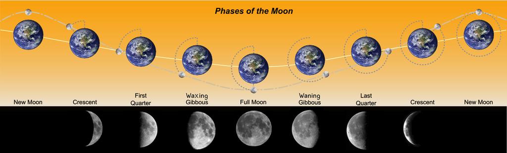 A Hold mozgásai Holdfázisok Holdfázisok: újhold: a Hold láthatatlan első negyed: napnyugtakor delel, éjfél körül nyugszik telihold: egész